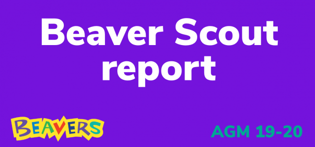 Beaver Scout report