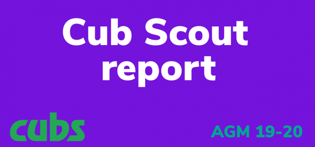 Cub Scout report
