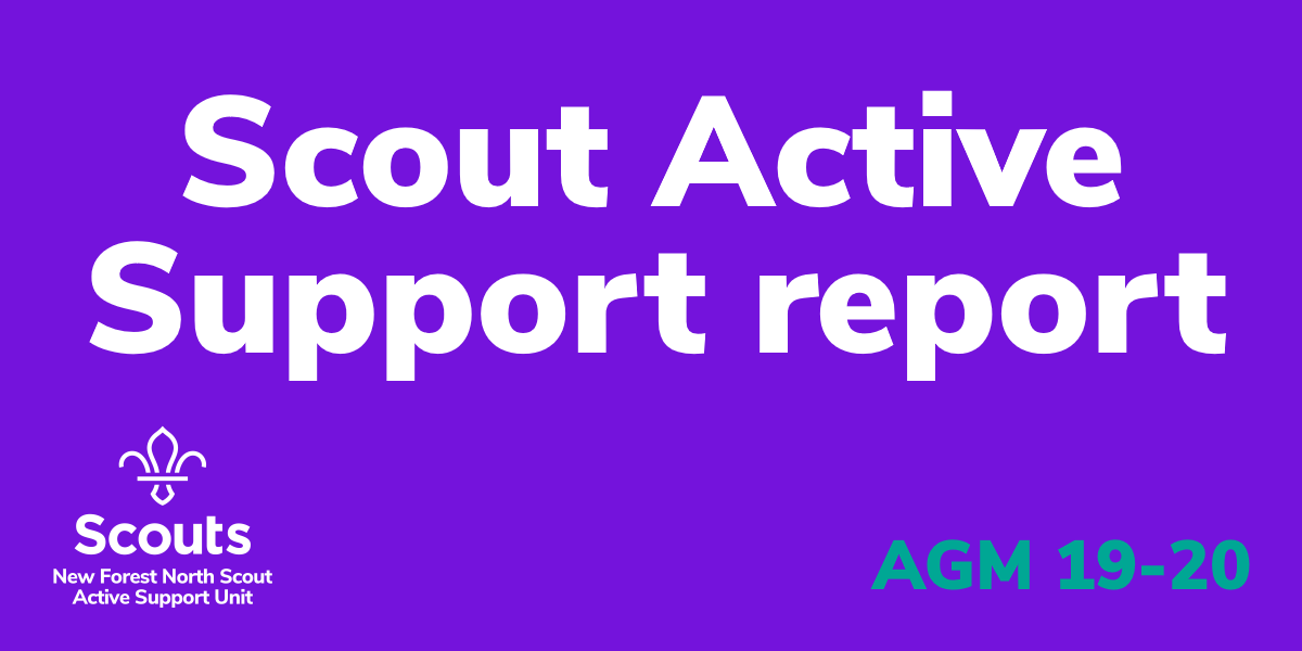 Scout Active Support report