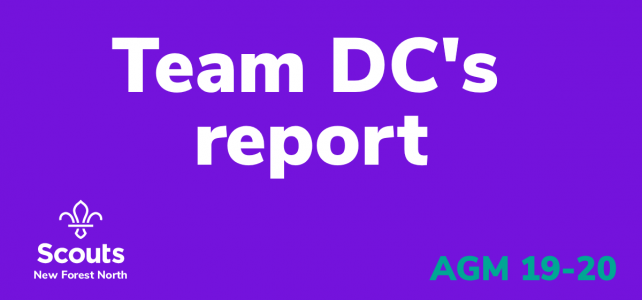 Team DC's report
