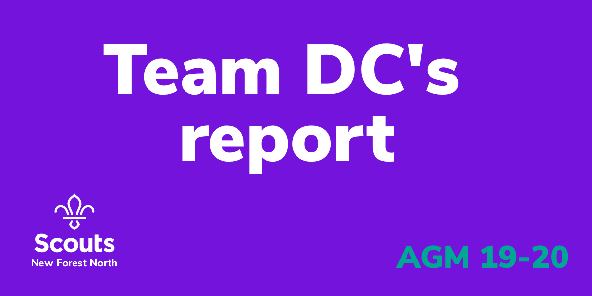 Team DC's report